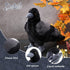 Aoriher 12 Inch Crow Plush Stuffed Animal Soft Black Fluffy Plush Toy Realistic Bird Stuffed Animal for Home Decoration Pet Party Favors Animal Co...