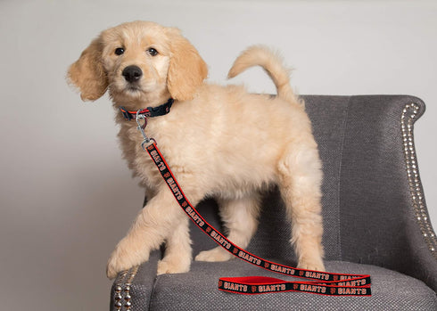 MLB PET Leash, Large, San Francisco Giants Dog Leash, Baseball Team Leash for Dogs & Cats. A Shiny & Colorful Dog & Cat Leash with Emboridered Tea...