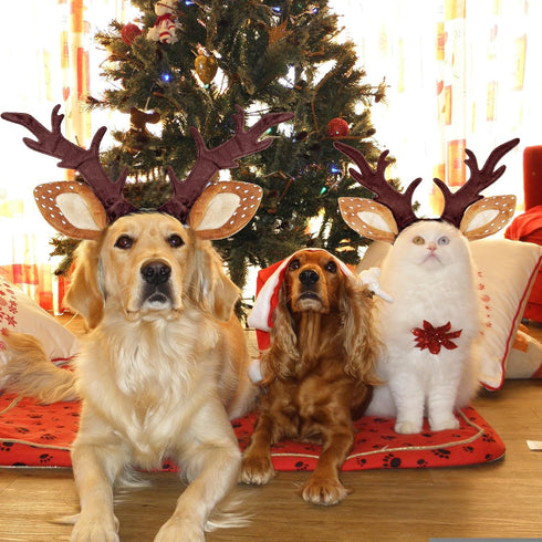 KUDES Dog Cat Christmas Reindeer Antlers Headband Classic Adjustable Elk Hat Headwear Pet Deer Cospaly Costumes Accessories (L(for Medium Big Dogs...