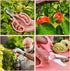 3PCS Rose Thorn Stripper Tool, Rose Leaf Thorn Strippers with a Rose Pruning Shears, Rose Thorn Remover for Gardening, Home DIY & Flower Lovers (P...