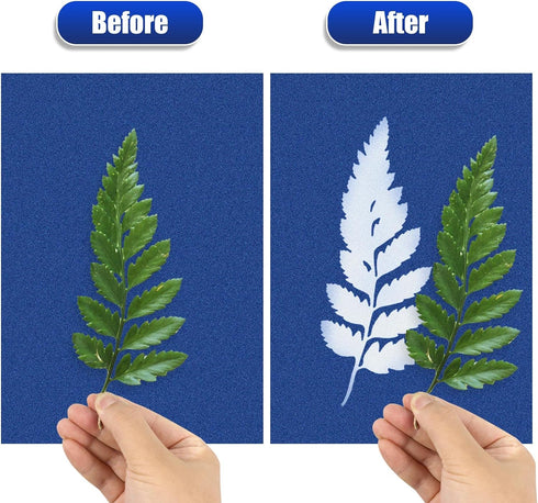 Sun Print Paper Kit Cyanotype Paper, 24 Sheets Cyanotype Papers with 1 Sheet Acrylic Panel, High Sensitive Nature Sun/Solar Activated Sun Printing...