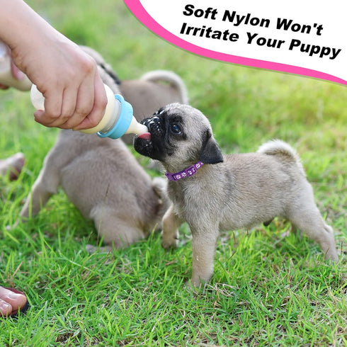 18 Pcs Puppy Collars for Litter Adjustable Puppy Whelping Collars Soft Nylon Puppy ID Collars with Safety Quick Release Buckle for Small Medium Do...