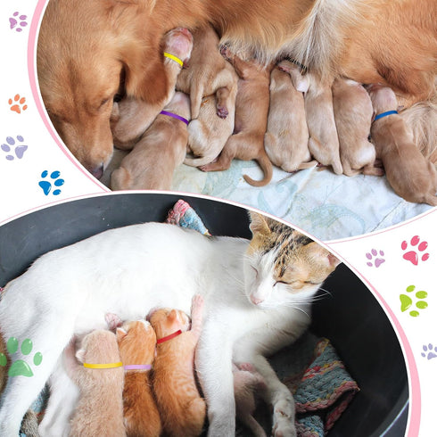 Frienda 60 Pieces Puppy Whelping Collars Newborn Pet Collars Double-Sided Adjustable ID Bands Puppy ID Bands Collars for Newborn Pet Dog Cat (L, X...