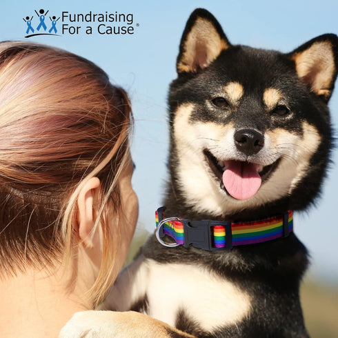 Rainbow Pet Collars for Dog or Cat - Gay Pride Dog and Cat Collars - LGBTQ Accessories for Dogs, Cats, and Pets - Pride Flag Dog and Cat Collar - ...