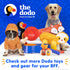 The Dodo Cork Dog Collar, Stripe, Size Medium; Cork Material Collar for Dogs, Everyday Pet Apparel; Adjustable Snap Together, Pinch Release Buckle...