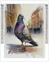 5D DIY Diamond Painting,Paint by Diamonds for Adults,?Pigeon Diamond Painting Paint with Diamonds Round for Gift,Gem Art Craft Home Wall Decor 12x...