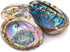 Hand Selected Abalone Shell, 6 Inches or Larger. Perfect for Holding Incense, Trinkets, and More...