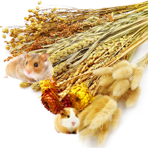 Natural Hamster Bedding Edible Flowers Herbs Sprays for Edible Grain Habitat Enclosure Decor Hamster Chews for Dwarf Syrian Gerbils Mice Mouse Rat...