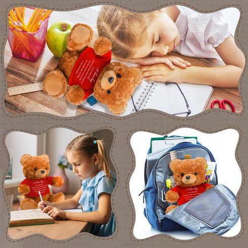 Bear Plush Stuffed Animal Sympathy Gift with a Bear Hug Sign Clothing Hug Bear Gift for Kids Condolences Memorial Comfort Loss of Loved One(Brown,...