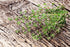 Health Embassy Thyme Herb | Thymus Serpyllum L | Herbal Tea (100g)...