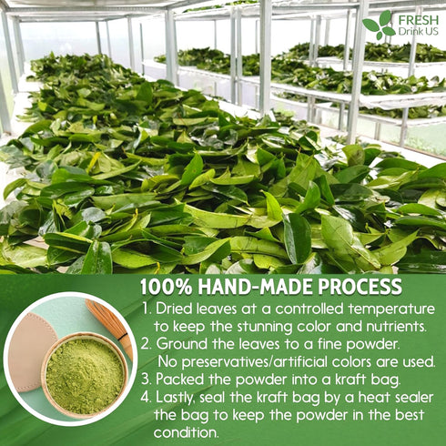 Premium 1oz Soursop Leaf Powder, 100% Natural & Pure from Soursop Leaves, Wildcrafted, Graviola Powder, Hoja Guanabana, No Sugar, No Gluten, Vegan...