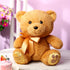 10 Inch Bear Stuffed Animal First Bear Baby Shower Bear Plush Toy for Wedding Birthday Baby Shower Party Favor Gift(Brown)...