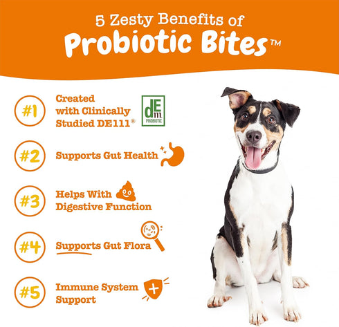 Zesty Paws Probiotics for Dogs - Digestive Enzymes for Gut Flora, Digestive Health, Diarrhea & Bowel Support - Clinically Studied DE111 - Dog Supp...