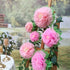 Pinks Flowers Decoration (11''-7'' Assorted) 6 pcs Artificial Tissue Paper Peony Nursery Wall Bridal Shower Centerpiece Baby Girl Birthday Tea Par...