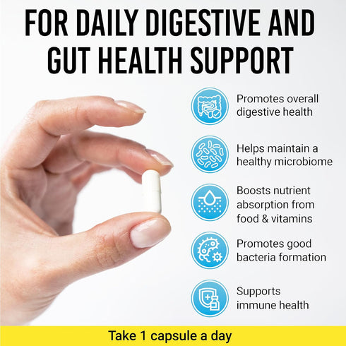 BIGJOHNLAB® Probiotics 30capsules 1month supply Women & Men 60 Billion CFU 10 Strains + Organic Prebiotics Immune, Digestive Gut Health Supports O...