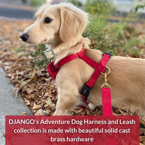 DJANGO Adventure Dog Leash – Strong, Comfortable, and Stylish Dog Leash with Solid Brass Hardware and Padded Handle - Designed for Outdoor Adventu...