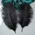 12pcs Natural Black Ostrich Feathers 12-14inch (30-35cm) for Wedding Party Centerpieces?Flower Arrangement and Home Decoration....