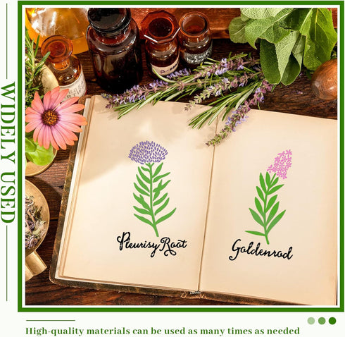 20 Pcs Herb Stencils for Painting Reusable Kitchen Garden Stencils Plastic Plant Stencils for Crafts Painting Art Stencils for DIY Scrapbook Wall ...