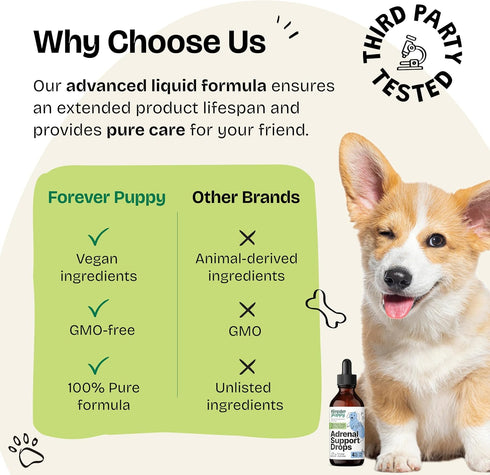 Adrenal Drops for Dogs - Adrenal Wellbeing w/Ashwagandha Liquid Drops - Calming Care for All Breeds & Sizes - Herbal Energy Drops w/Ginseng Root -...
