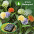 Enchanted Solar Garden Lights Innovative Upgraded for Outside Waterproof,Outdoor Light Yard Patio Decoration w Flexibility Wire, Dandelion Light f...