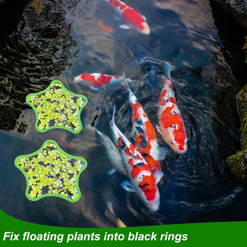5pcs Aquarium Floating Plant Rings, Star-Shaped Fish Feeding Rings Foam Fish Tank Plant Corral Duckweed Isolation Circle Keep Plants in Place (Gre...
