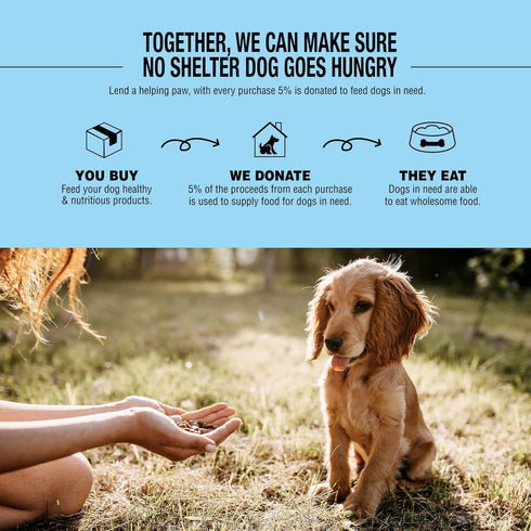 Dog for Dog Grooming Gloves for Dogs - Dog Washing Gloves for Gentle Deshedding | Pet Hair Remover and Dog Glove Brush for Shedding & Massage of L...