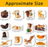 Maitys 14 Pieces Miniature Squirrel Figurine Mini Garden Accessories Tiny Resin Squirrel Toys Fairy Plastic Miniature Things Fall Figurines for Ou...