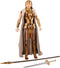 DC Comics Multiverse Wonder Woman Queen Hippolyta Figure, 6"...