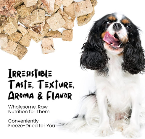 Freeze Dried Lamb Liver Treats for Cats & Dogs - Single Ingredient All Natural Grain-Free, High Protein, Made in USA - Perfect for Training, Toppe...