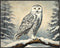 Posterizer 1 pcs-snowy winter scene of a white owl-oil painting style 4-Art for Animal Lovers-Landscape & Nature Art-Decor for Home & Office- unfr...