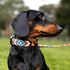 CollarDirect Aztec Dog Collar Adjustable Nylon Tribal Pattern Geometric Pet Collars for Dogs Small Medium Large Puppy (Aztec Sunset, Neck Fit 18"-...