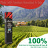 Amore Vegan Chili Pepper Paste In A Tube - Non GMO Certified and Made In Italy (Pack of 1)...