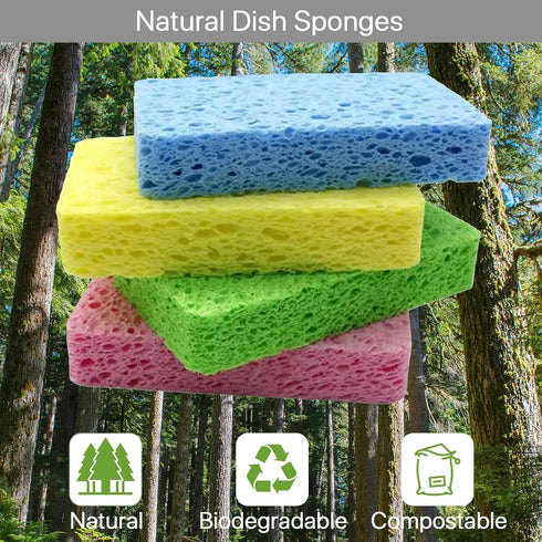 VANANA Biodegradable Kitchen Sponges Washing Up, Natural Compostable Cellulose Cleaning Sponges Colourful Sponge for Home Car Daily Use (12, Multi...