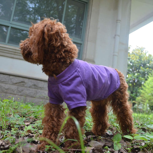 Lovelonglong 2019 Pet Clothing Dog Costumes Basic Blank T-Shirt Tee Shirts for Small Dogs Purple L...