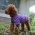 Lovelonglong 2019 Pet Clothing Dog Costumes Basic Blank T-Shirt Tee Shirts for Small Dogs Purple L...