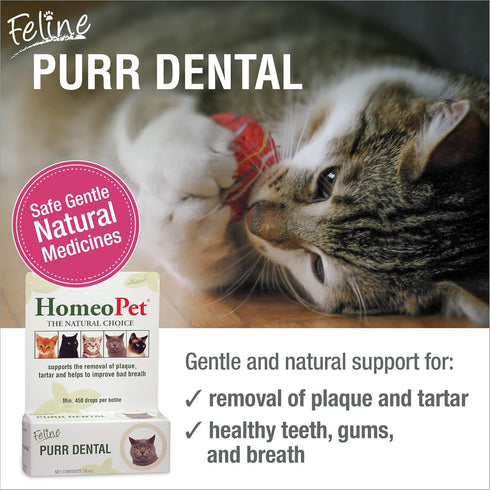 HomeoPet Feline Purr Dental, Dental Care for Cats, 15 Milliliters...