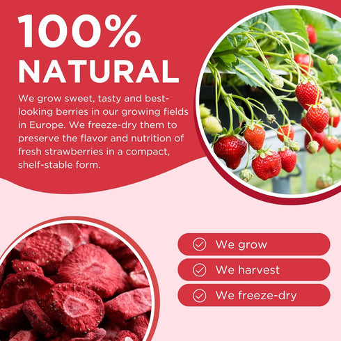 Freeze Dried Strawberry Powder For Baking (1.76 Oz) No Sugar, Pure - 100% Natural Freeze Dried Strawberries for Smoothies - Sustainably Grown, Glu...