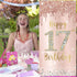 Happy 17th Birthday Door Banner Decorations for Girls, Pink Rose Gold 17 Birthday Door Cover Backdrop Party Supplies, Large Seventeen Year Old Bir...