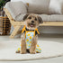 4 Pieces Pet Clothes Set Include 2 Pieces Cute Pet Dress Lovely Fruit Dog Dress and 2 Pieces Dog Shirt Breathable Pet T-Shirt Puppy Clothes for Pe...
