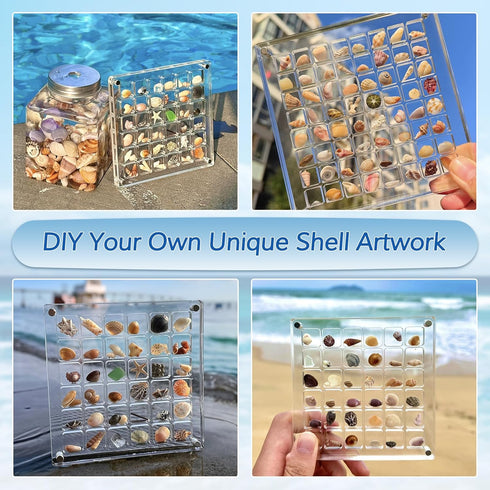 Acrylic Magnetic Seashell Display Box,Seashell Storage Box Display Case Decorative Seashell Starfish Trinket,Seashell Holder Display Box,Small Cra...