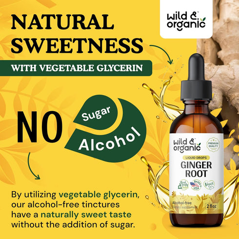 Ginger Liquid Extract - Organic Ginger Root Drops - Ginger Supplements for Digestive Support - Vegan, Alcohol Free Tincture - 2 fl oz...