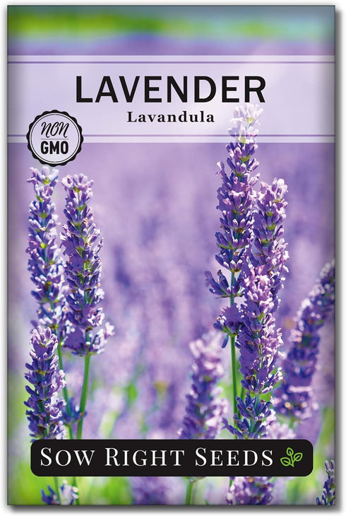 Sow Right Seeds - Insect & Pest Repellent Seed Collection for Planting - Lavender, Catnip, Marigold, Hyssop & Lemon Grass - 5 Packets with Instruc...