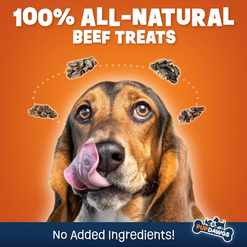 Beef Liver Dog Treats | Hickory Smoked Flavor Liver Treats for Dogs Made in The USA | Nutritious Dog Liver Treats | All-Natural Dehydrated Liver D...