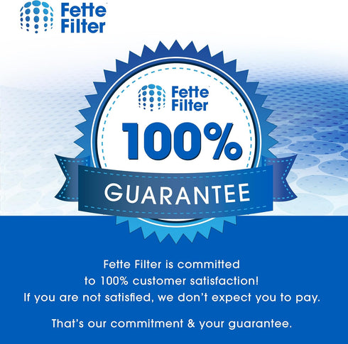 Fette Filter - FSV001 Hepa Filter Replacement Compatible with Fabuletta FSV001 FSV101 Girnoor G165 G160 Afoddon A300 Vacuum, Made of Premium Hepa ...