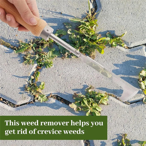 Crack Weeder Weed Removal Tool - Stainless Steel Gardening Hand Tools ?Wood Handle Weed Remover Tool Manual Weeder for Easy and Quick Weed Removal...