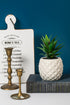 White Porcelain Pineapple Ananas Faux Plant Potted Artificial Succulent 7.8" Home Office Bathroom Tabletop Shelf Kitchen Decoration...