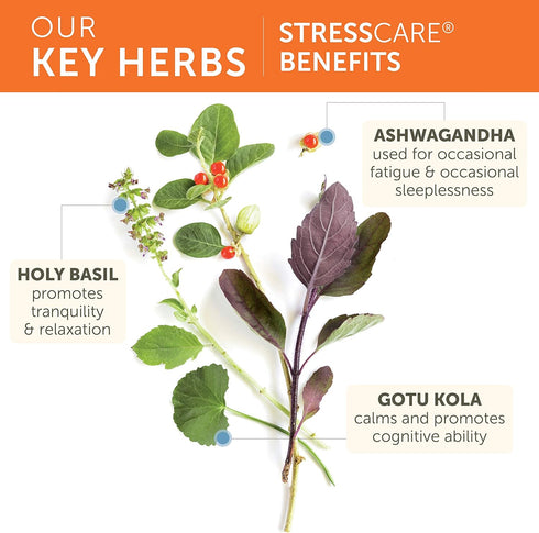 Himalaya StressCare, 30 Day Supply - Herbal Adrenal Support for Calming Relaxation, Stress Relief, Energy Support and Occasional Sleeplessness - V...
