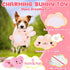 Pink Puppy Toys - 9 Pack Puppy Chew Toys for Teething, Interactive Dog Toys for Puppies, Small Dog Toys with Squeaky Dog Chew Toys, Treat Ball and...