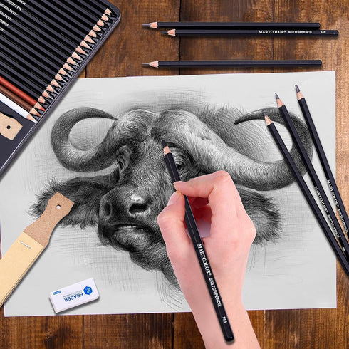 Drawing Sketching Pencils Set, 34 Pieces Pro Art Pencil Kit - Graphite Pencils (14B-4H), Charcoal Pencils, Charcoal Sticks, Artist Pencils for Beg...