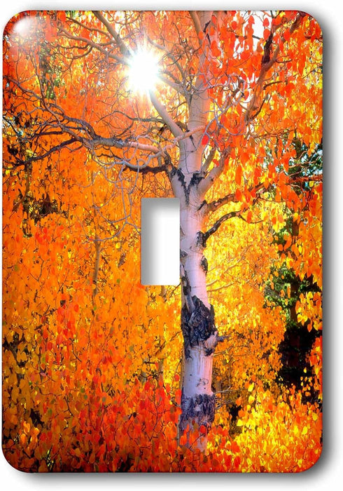 3dRose lsp_205733_1 USA, California Aspen Trees in The Sierra Nevada Mountains Single Toggle Switch...